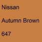 Preview: Nissan, Autumn Brown, 647.